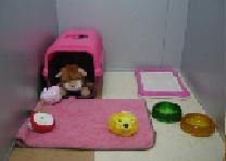 エンジェルドッグ丸岡店